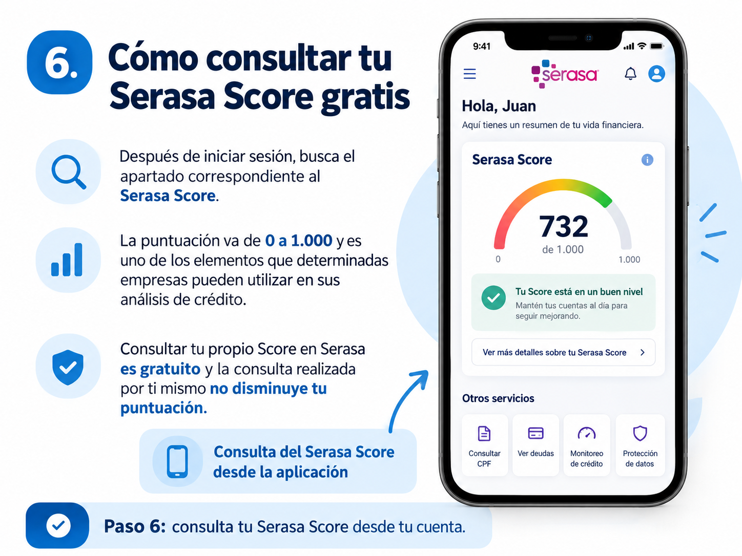 Consulta del Serasa Score desde la aplicación